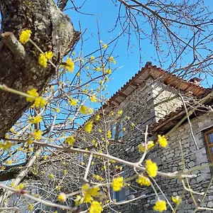  Gasthof Bujtina Tusha Albanien